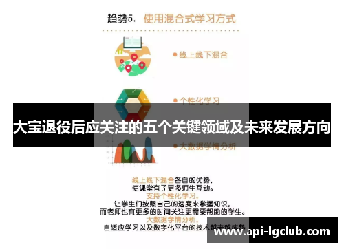 大宝退役后应关注的五个关键领域及未来发展方向