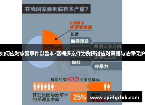 如何应对家暴事件以鲁本-塞梅多案件为例探讨应对策略与法律保护