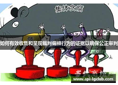 如何有效收集和呈现裁判偏袒行为的证据以确保公正审判