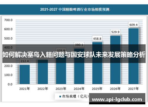 如何解决塞鸟入籍问题与国安球队未来发展策略分析