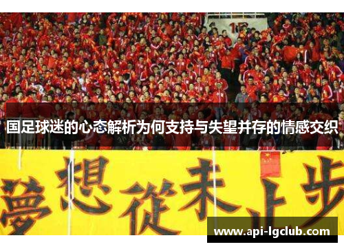 国足球迷的心态解析为何支持与失望并存的情感交织