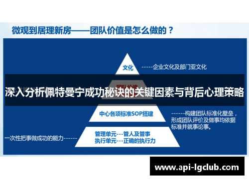 深入分析佩特曼宁成功秘诀的关键因素与背后心理策略