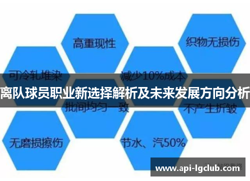 离队球员职业新选择解析及未来发展方向分析
