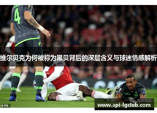 维尔贝克为何被称为黑贝背后的深层含义与球迷情感解析