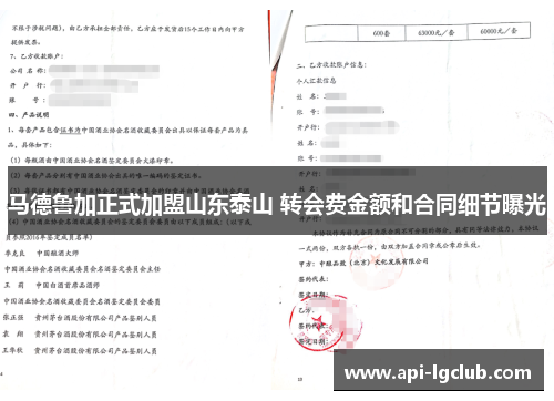 马德鲁加正式加盟山东泰山 转会费金额和合同细节曝光