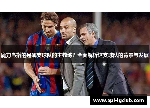 魔力鸟指的是哪支球队的主教练？全面解析这支球队的背景与发展